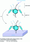 Figure 4 - Strategy for obtaining a monolayer of calix[4]arenes on any type of material
