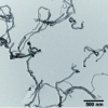 Figure 5 - MET image of native CNTs