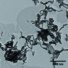 Figure 7 - TEM image of amidation-functionalized CNTs