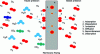 Figure 14 - Principle of hydrogen diffusion through a silver-palladium membrane (source: Johnson Matthey)