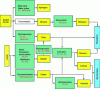 Figure 6 - Synthesis of raw materials from the biomass process