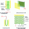 Figure 15 - Diagrams of confined microalgae culture systems of the vertical column (a), flat panel (b), bag (c) or tubular (d) type.