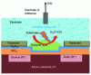 Figure 7 - Schematic diagram of EnFET micro-sensor for inhibiting enzymatic reactions