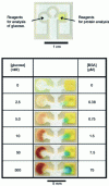 Figure 19 - Paper device by Martinez et al [69] with SU-8 patterns produced by optical lithography