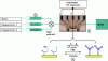 Figure 24 - Glass microfluidic device including gold electrodes for the realization of an aptamer-based electrochemical sensor for the detection of cocaine [115]