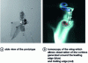 Figure 24 - Images from videos taken with the Phantom V 7.2 camera