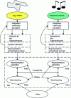 Figure 13 - Multimodal integration, in this case vision and sound. Processing chains are similar, learning is unified by a common language, a single associative memory stores the instantaneous learning of several senses.