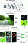 Figure 16 - Comparison between, on the upper part, a deep learning process executed by Movidius' latest processor, Miriad-2, and, on the lower part, the biomimetic process described in this article, on the recognition of a road sign. On the one hand, the sign is already selected; on the other, it is searched for in a 12 Mpix image. This perceptual function is non-trivial. The deep learning function is based on a multitude of correlation calculations, and error gradient back-propagation to optimize coefficients (synaptic weights) that serve as memory. The biomimetic process perceives, in reduced resolution, the semantic representations in the context (first map) and then in the area found in full resolution (second map) the semantic representations of the panel. The comparison in processing power is obvious. What's more, the biomimetic solution is real-time, enabling cumulative learning without destroying previous knowledge, and can be integrated in very low volume and power consumption.