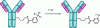 Figure 13 - One-step radiolabeling using an antibody previously coupled to the precursor