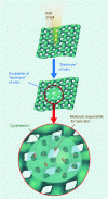 Figure 11 - How cyclodextrins are used to mask unpleasant odors