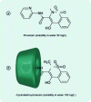 Figure 8 - Effect on active ingredient solubility for: (a) piroxicam and (b) the inclusion complex between β-cyclodextrin and piroxicam