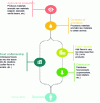 Figure 2 - Diagram of the food flavorings industry