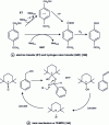 Figure 24 - Illustration of the different mechanisms used by laccase mediators (after [144] [148])