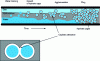 Figure 3 - Illustration of hydrate formation starting at the center of the pipeline, before it propagates to the wall [18].