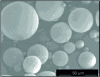 Figure 6 - Quartz microbeads in syntactic polypropylene (SEM view)