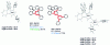 Figure 17 - PHC32-PHC33 – Molecular and structural structures, ET and EQE of various devices