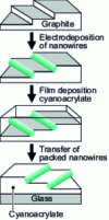 Figure 3 - Electrochemical decoration of the steps on the graphite surface, then transfer to a cyanoacrylate film