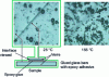 Figure 4 - Follow-up of debonding using optical microscopy
(top views)