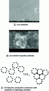 Figure 7 - Particle morphology