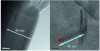 Figure 7 - High-resolution transmission electron microscopy images (TEMSCAN, UPS Toulouse III) of two types of nanometric particles
