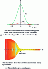 Figure 1 - Optical Kerr effect