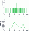 Figure 5 - Example of an agitation profile