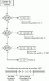 Figure 7 - RLL25Ô encoding technology [2]