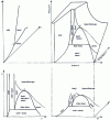 Figure 1 - Representation of phase equilibria in a diagram (P, V, T )