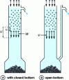 Figure 4 - Collective sedimentation of a particle suspension in a column