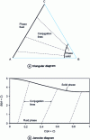 Figure 13 - Isobaric and isothermal representation of an equilibrium with two adsorbable solutes