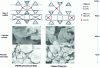 Figure 10 - Structure of the precursor VOHPO40,5H2O (VHP) and the catalyst (VO)2P2O7 (VPP) (scanning electron microscope) [45]