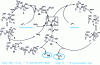 Figure 4 - Proposed mechanism for ammoxidation at 6 th– (left) and oxidation at 4 th– (right) of propene to acrylonitrile and acrolein respectively, over bismuth molybdate Bi2(MoO4)3[7]