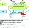 Figure 7 - Demanding reactions on MoO3 crystal [9]