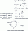 Figure 2 - Bifunctional schemes for monomolecular and bimolecular isomerization of n-butane in the absence and presence of isobutene