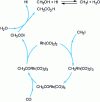 Figure 4 - Carbonylation of methanol by rhodium complexes from [52][53]