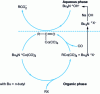 Figure 5 - Carbonylation of halogenated derivatives by phase transfer (with cobalt catalyst)