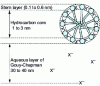 Figure 8 - Direct ionic micelle (Hartley model)