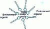 Figure 9 - Inverse micelle