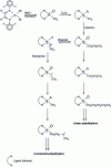 Figure 27 - Polymerization mechanism with DuPont nickel complexes