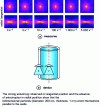 Figure 17 - Progressive orientation of a clay suspension (Beidelite) under shear in a Couette cell (SOLEIL synchrotron, SWING line)