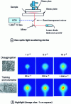 Figure 18 - Disaggregation of red blood cells, followed by deformation and orientation under flow (human blood 40% by volume) by light scattering under shear.