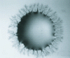 Figure 24 - Drop of surfactant solution on a solid substrate [43].