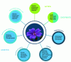 Figure 3 - Plants, sources of cosmetic ingredients