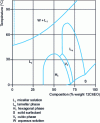 Figure 1 - Phase diagram of the 12C6EO-water system [4].