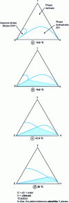 Figure 2 - Phase diagram of the water/n-decane/C8(EO)3 system [4].