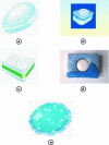 Figure 6 - Dishwasher detergents in tablet form 5968