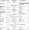 Figure 29 - INOA first-generation oxidizing cream (ODS) formula [55] [56] [57]