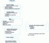 Figure 14 - Classic toothpaste development stages