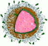 Figure 6 - Lipidots® structure