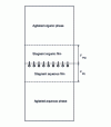 Figure 5 - Schematic description of a liquid-liquid system showing diffusion films and extractant molecules adsorbed at the interface [135]